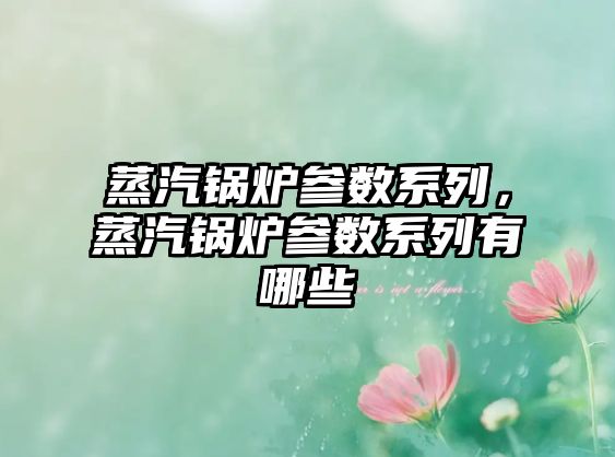 蒸汽鍋爐參數(shù)系列，蒸汽鍋爐參數(shù)系列有哪些