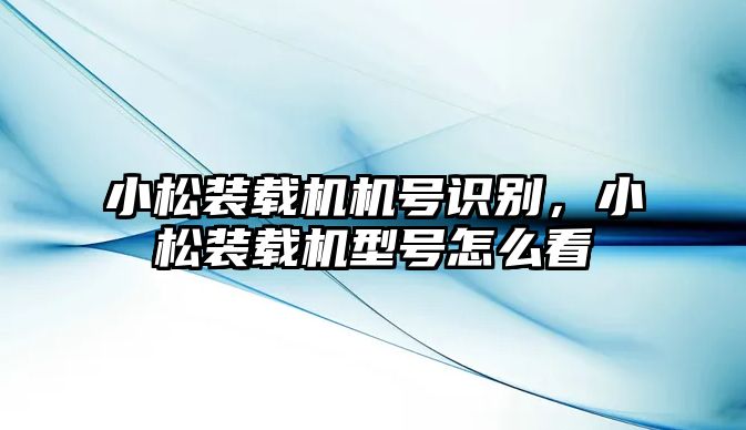 小松裝載機(jī)機(jī)號(hào)識(shí)別，小松裝載機(jī)型號(hào)怎么看