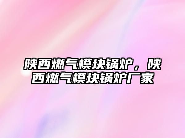 陜西燃?xì)饽K鍋爐，陜西燃?xì)饽K鍋爐廠家