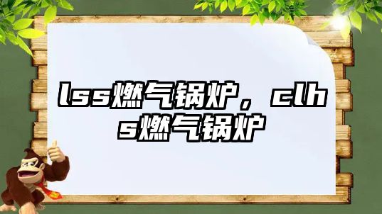 lss燃?xì)忮仩t，clhs燃?xì)忮仩t