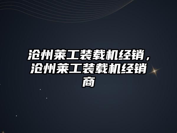 滄州萊工裝載機(jī)經(jīng)銷，滄州萊工裝載機(jī)經(jīng)銷商