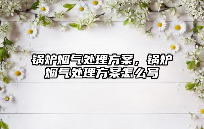 鍋爐煙氣處理方案，鍋爐煙氣處理方案怎么寫(xiě)