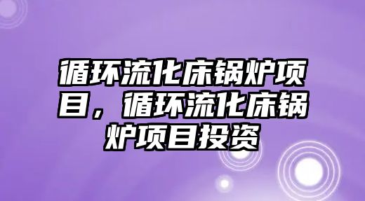 循環(huán)流化床鍋爐項目，循環(huán)流化床鍋爐項目投資