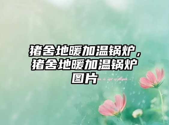 豬舍地暖加溫鍋爐，豬舍地暖加溫鍋爐圖片