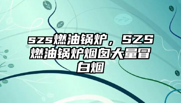 szs燃油鍋爐，SZS燃油鍋爐煙囪大量冒白煙