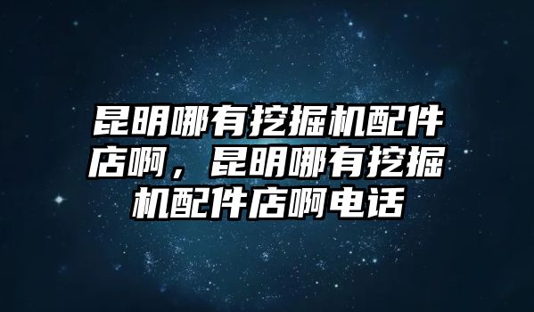 昆明哪有挖掘機(jī)配件店啊，昆明哪有挖掘機(jī)配件店啊電話