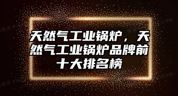 天然氣工業(yè)鍋爐，天然氣工業(yè)鍋爐品牌前十大排名榜