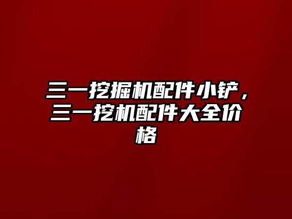 三一挖掘機配件小鏟，三一挖機配件大全價格