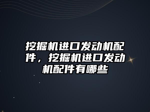 挖掘機進口發(fā)動機配件，挖掘機進口發(fā)動機配件有哪些