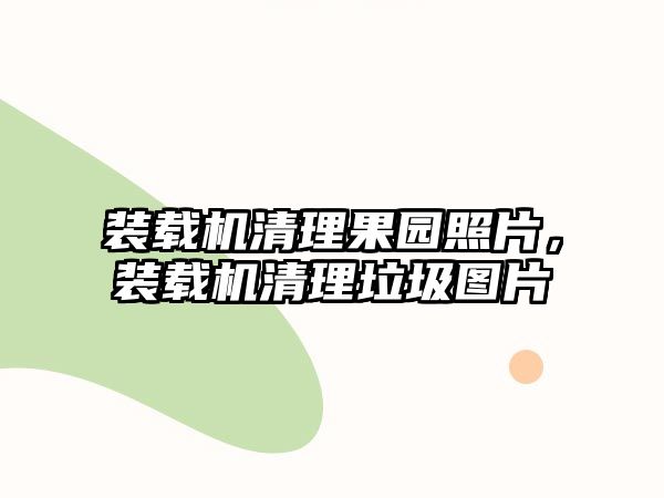 裝載機清理果園照片，裝載機清理垃圾圖片