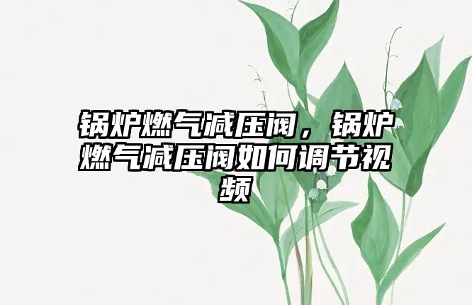 鍋爐燃氣減壓閥，鍋爐燃氣減壓閥如何調節(jié)視頻