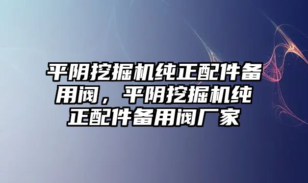 平陰挖掘機純正配件備用閥，平陰挖掘機純正配件備用閥廠家