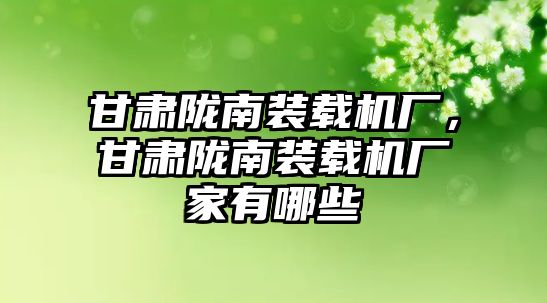 甘肅隴南裝載機廠，甘肅隴南裝載機廠家有哪些