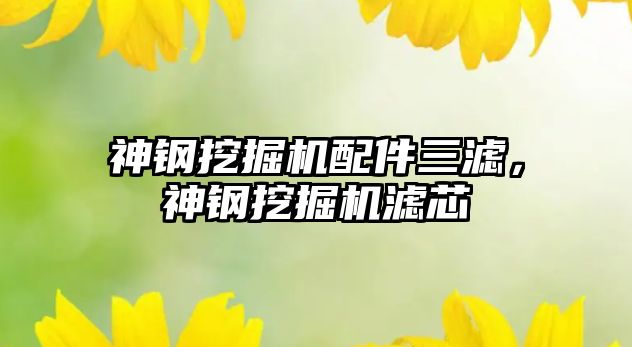 神鋼挖掘機配件三濾，神鋼挖掘機濾芯