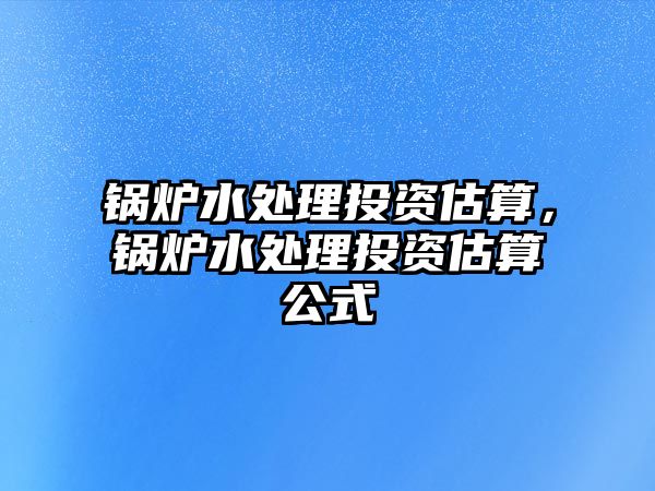 鍋爐水處理投資估算，鍋爐水處理投資估算公式