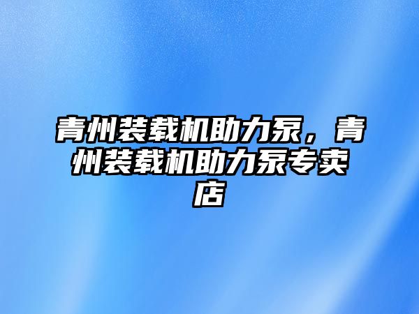 青州裝載機(jī)助力泵，青州裝載機(jī)助力泵專賣店