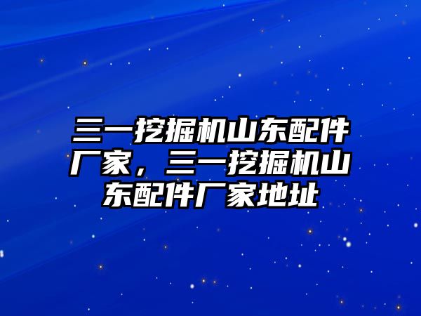 三一挖掘機山東配件廠家，三一挖掘機山東配件廠家地址