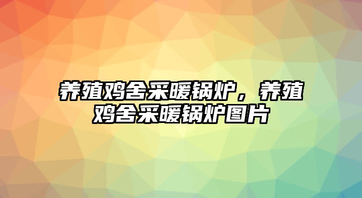 養(yǎng)殖雞舍采暖鍋爐，養(yǎng)殖雞舍采暖鍋爐圖片