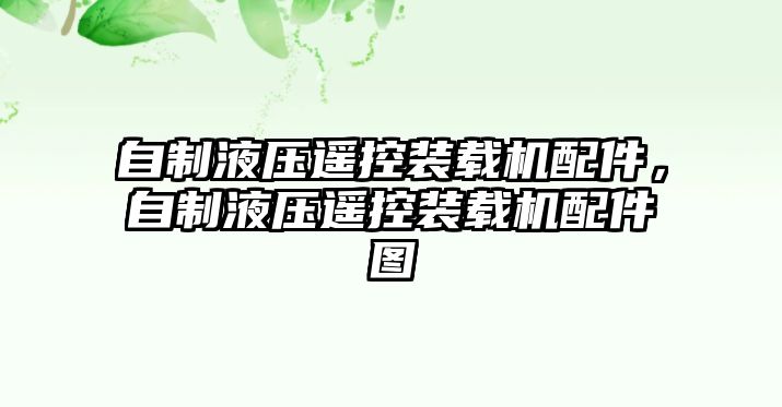 自制液壓遙控裝載機配件，自制液壓遙控裝載機配件圖