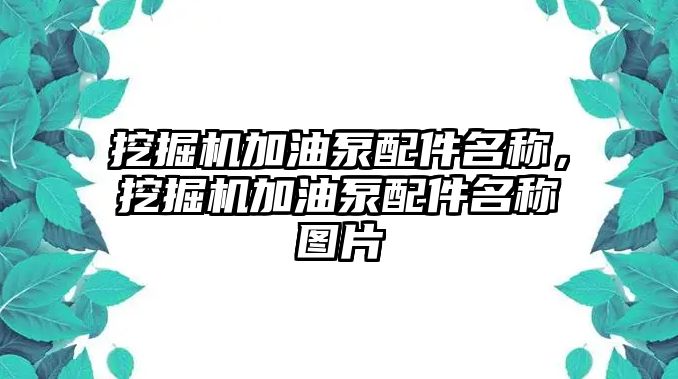 挖掘機(jī)加油泵配件名稱，挖掘機(jī)加油泵配件名稱圖片