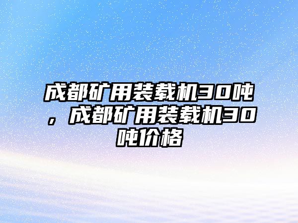 成都礦用裝載機30噸，成都礦用裝載機30噸價格