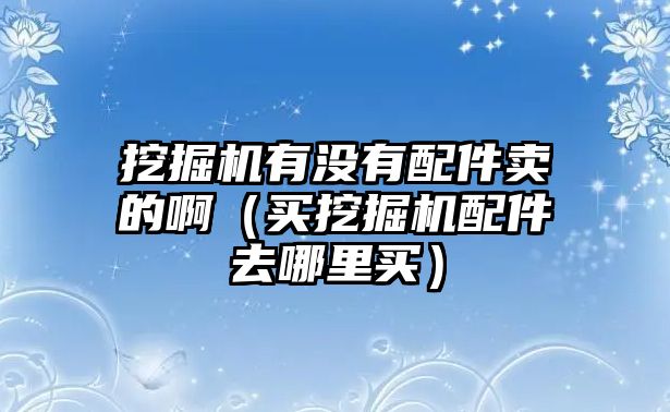 挖掘機(jī)有沒(méi)有配件賣(mài)的?。ㄙI(mǎi)挖掘機(jī)配件去哪里買(mǎi)）