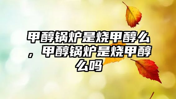 甲醇鍋爐是燒甲醇么，甲醇鍋爐是燒甲醇么嗎