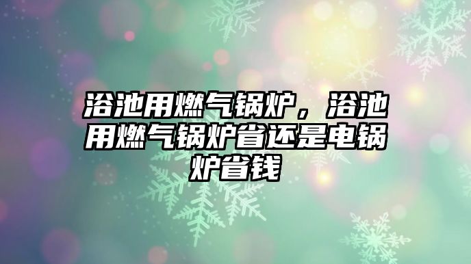 浴池用燃氣鍋爐，浴池用燃氣鍋爐省還是電鍋爐省錢