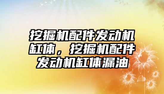 挖掘機配件發(fā)動機缸體，挖掘機配件發(fā)動機缸體漏油