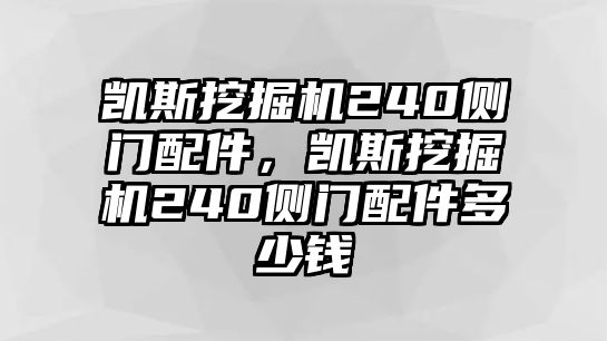 凱斯挖掘機(jī)240側(cè)門配件，凱斯挖掘機(jī)240側(cè)門配件多少錢