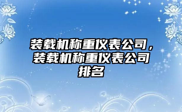 裝載機(jī)稱重儀表公司，裝載機(jī)稱重儀表公司排名