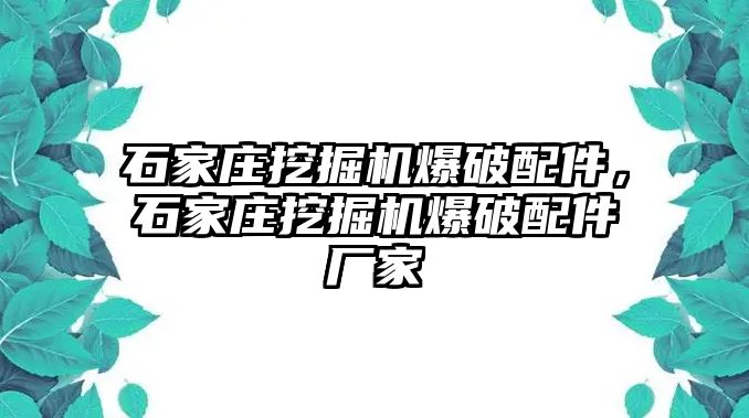 石家莊挖掘機(jī)爆破配件，石家莊挖掘機(jī)爆破配件廠家