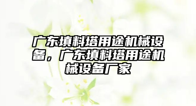 廣東填料塔用途機械設(shè)備，廣東填料塔用途機械設(shè)備廠家