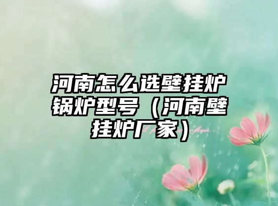 河南怎么選壁掛爐鍋爐型號（河南壁掛爐廠家）