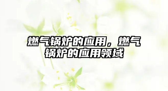 燃?xì)忮仩t的應(yīng)用，燃?xì)忮仩t的應(yīng)用領(lǐng)域