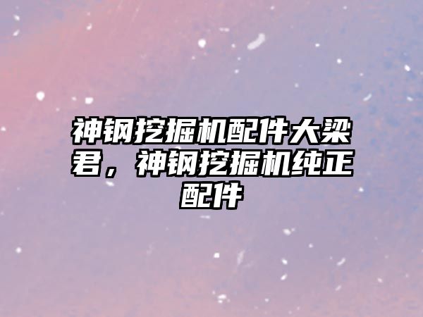 神鋼挖掘機配件大梁君，神鋼挖掘機純正配件