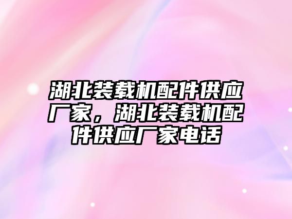 湖北裝載機配件供應(yīng)廠家，湖北裝載機配件供應(yīng)廠家電話