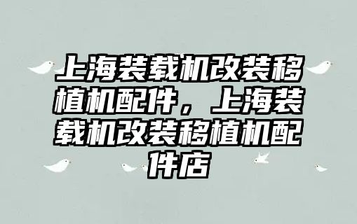 上海裝載機(jī)改裝移植機(jī)配件，上海裝載機(jī)改裝移植機(jī)配件店