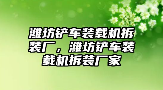 濰坊鏟車裝載機(jī)拆裝廠，濰坊鏟車裝載機(jī)拆裝廠家