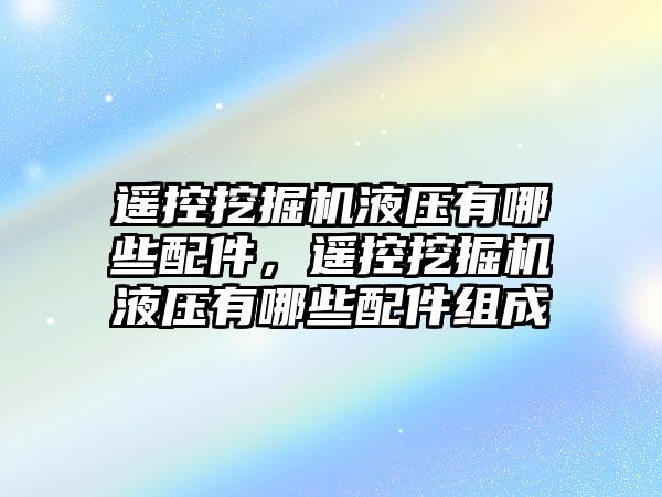 遙控挖掘機液壓有哪些配件，遙控挖掘機液壓有哪些配件組成