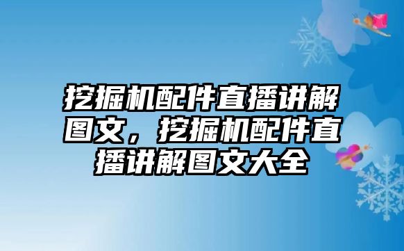 挖掘機(jī)配件直播講解圖文，挖掘機(jī)配件直播講解圖文大全