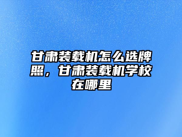 甘肅裝載機怎么選牌照，甘肅裝載機學校在哪里