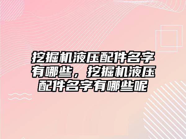 挖掘機液壓配件名字有哪些，挖掘機液壓配件名字有哪些呢