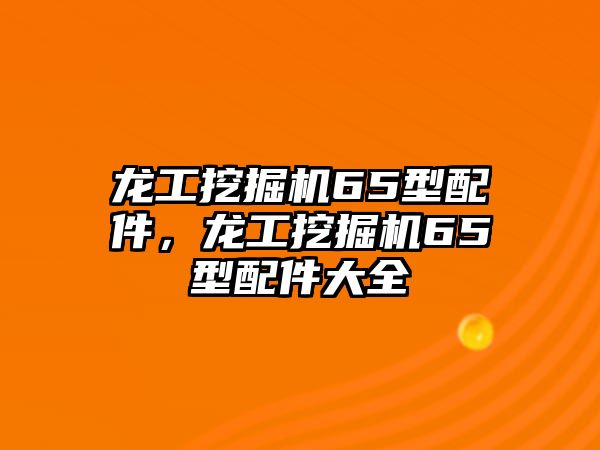 龍工挖掘機(jī)65型配件，龍工挖掘機(jī)65型配件大全