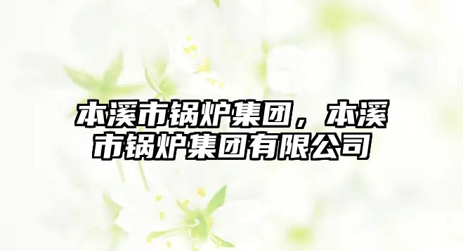 本溪市鍋爐集團(tuán)，本溪市鍋爐集團(tuán)有限公司