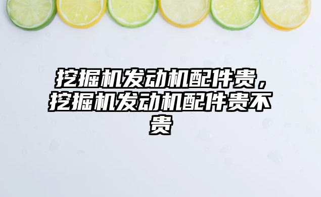 挖掘機發(fā)動機配件貴，挖掘機發(fā)動機配件貴不貴