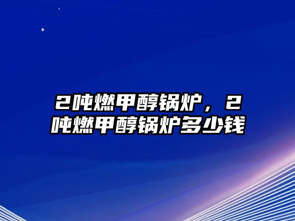 2噸燃甲醇鍋爐，2噸燃甲醇鍋爐多少錢