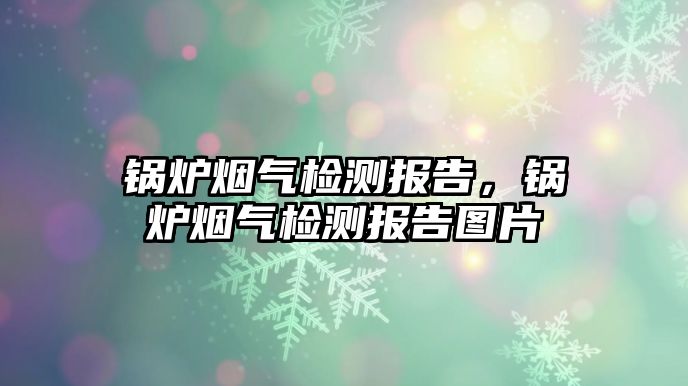 鍋爐煙氣檢測(cè)報(bào)告，鍋爐煙氣檢測(cè)報(bào)告圖片