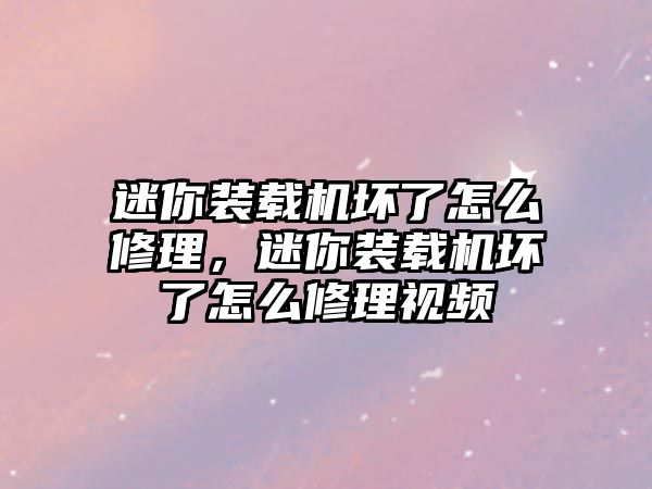 迷你裝載機壞了怎么修理，迷你裝載機壞了怎么修理視頻