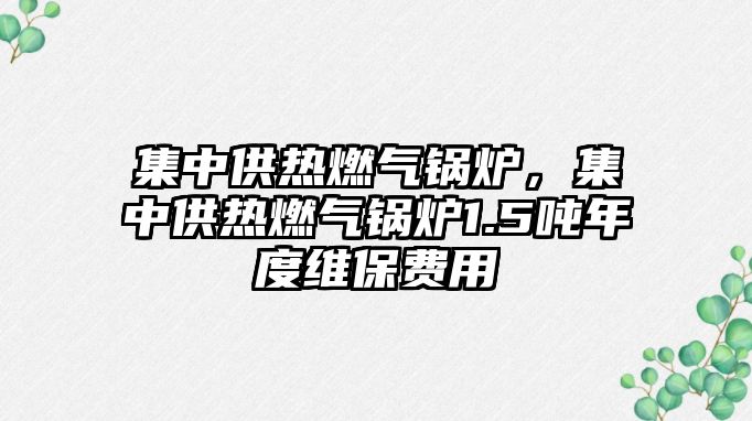 集中供熱燃?xì)忮仩t，集中供熱燃?xì)忮仩t1.5噸年度維保費(fèi)用